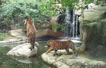 Zoo de la Boissière-du-Doré