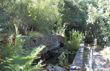 Jardin Botanique de Mme L’Hardy Denonain