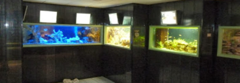 Aquaramiaud – Aquarium de Saint Chamond