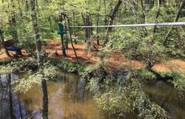 Accrobranche – Les Perchés Saint-Pourçain-sur-Sioule