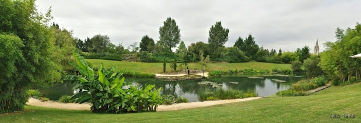 Le Jardin Des Nénuphars – Jardin Botanique
