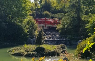 Parc du Suzon jardin japonais