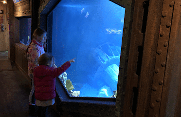 Aquarium d’Amnéville