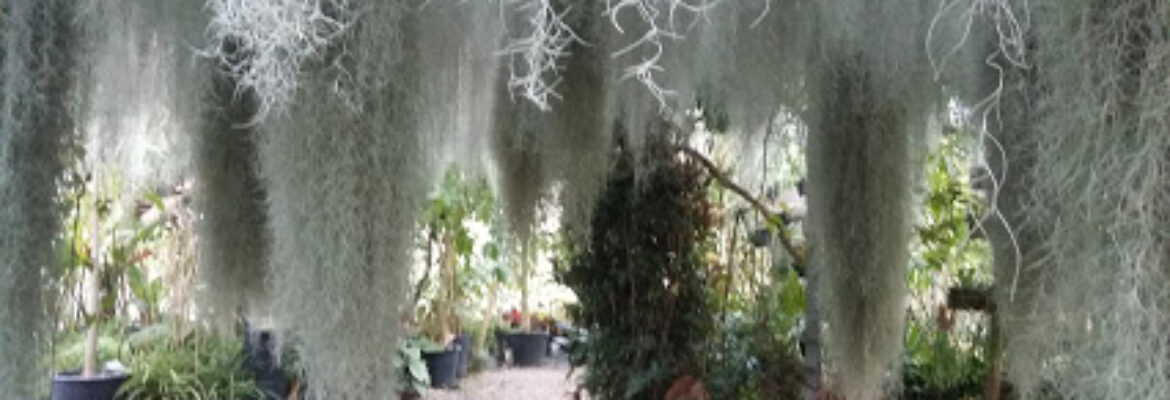 Jardin et Serre du Bourgailh