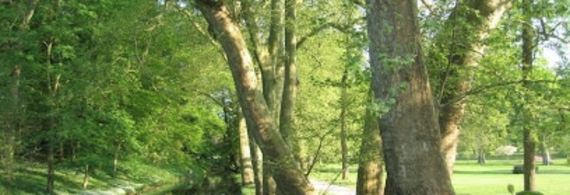 Domaine de Segrez