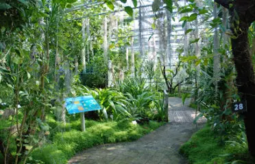 Jardin du Conservatoire botanique national de Brest