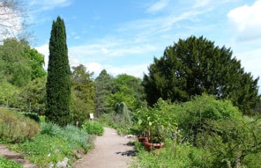 Jardin botanique du col de Saverne