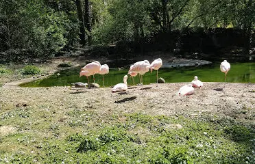 Parc zoologique Bois de Saint-Pierre