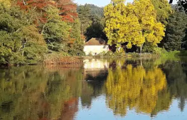 Arboretum Domanial de Pézanin