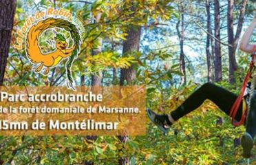 Accrobranche La Forêt de Robin Marsanne