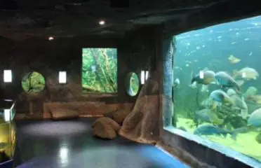 Aquarium de Pescalis
