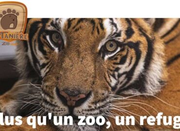 La Tanière – Zoo Refuge