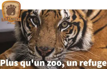 La Tanière – Zoo Refuge