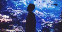 Aquarium
