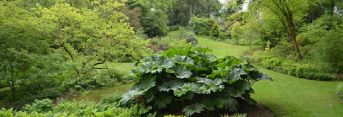 LE JARDIN DU Vasterival