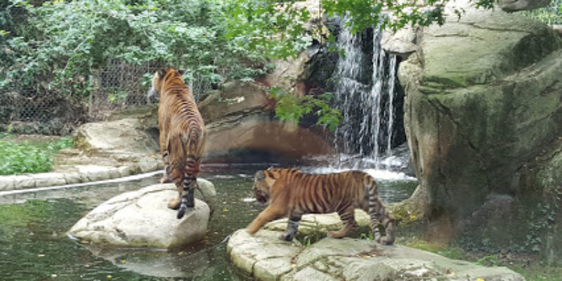 Zoo de la Boissière-du-Doré