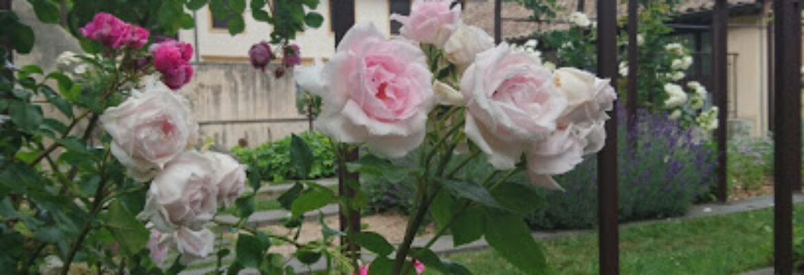 Jardin Gadagne Lyon