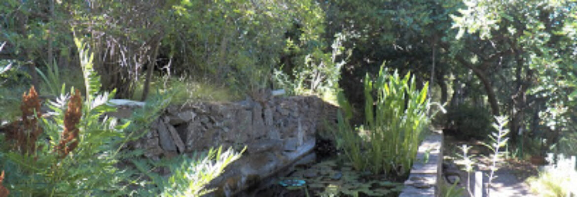 Jardin Botanique de Mme L’Hardy Denonain