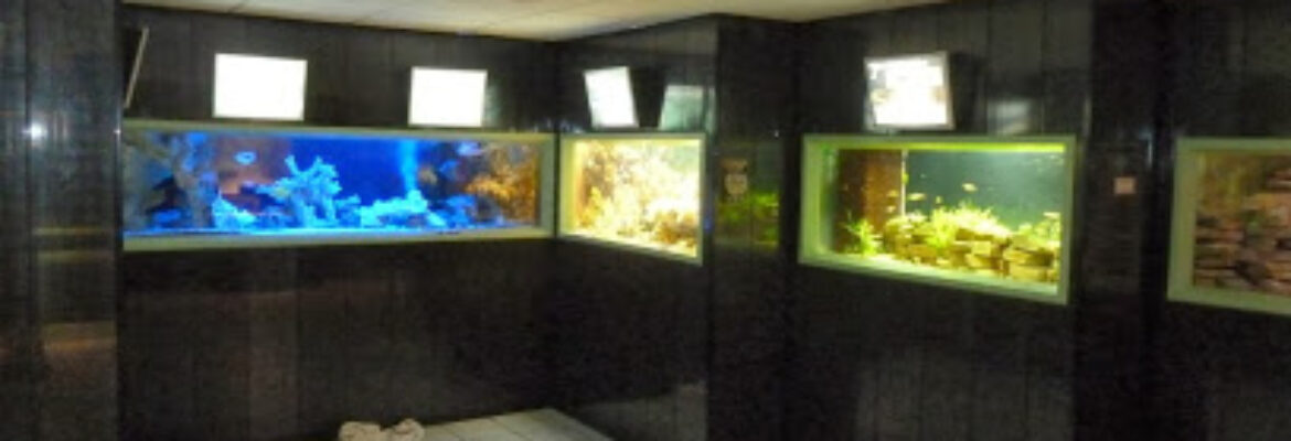 Aquaramiaud – Aquarium de Saint Chamond