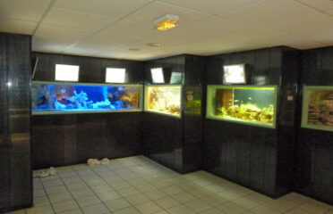 Aquaramiaud – Aquarium de Saint Chamond