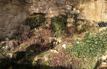 Grotte Ferrand