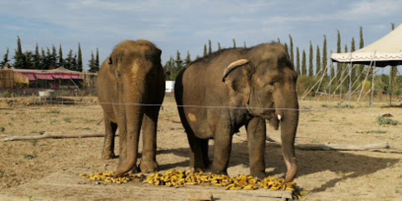 Jungle Park Camargue