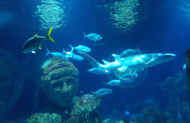 SEA LIFE Val d’Europe