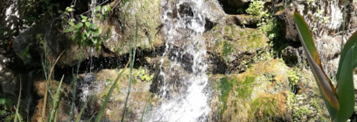 Jardin botanique de Nice