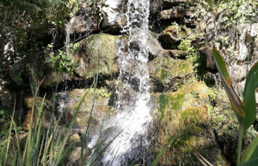 Jardin botanique de Nice