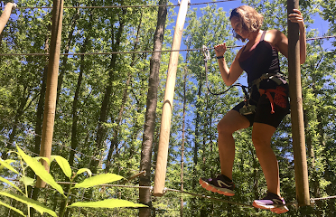 Monkey’s Forest – Accrobranche Parc Aventure en Hauteur