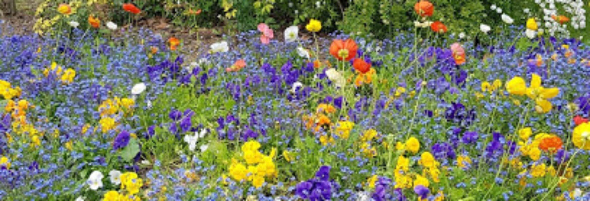 Le Jardin Botanique Melun