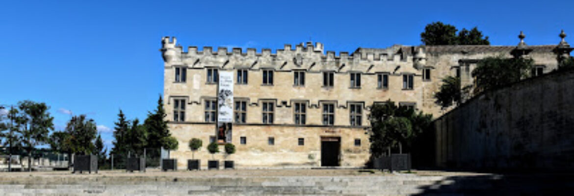 Musée Du Petit Palais