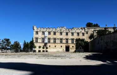 Musée Du Petit Palais
