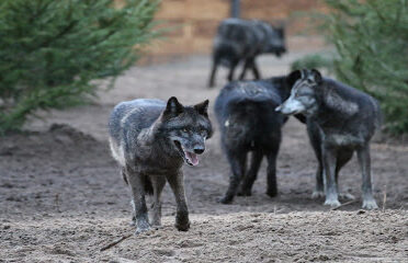 Zoo de Labenne