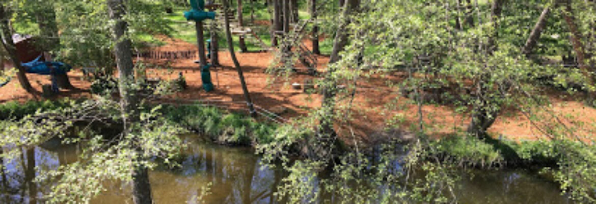 Accrobranche – Les Perchés Saint-Pourçain-sur-Sioule