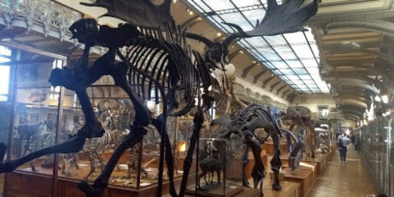 Muséum national d’Histoire naturelle