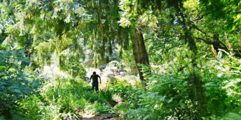 Jardin alpin Paris