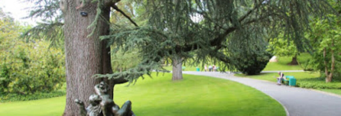 Jardin des plantes d’Angers
