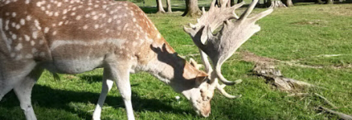 Parc Animalier des Dronières