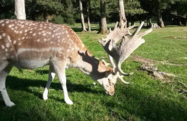 Parc Animalier des Dronières