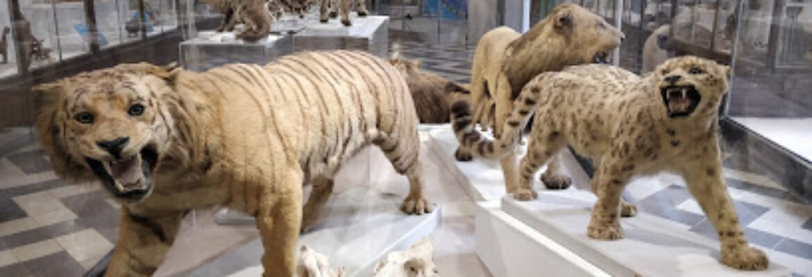 Muséum d’histoire naturelle de Nîmes