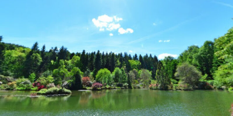 Jardin botanique de Gondremer