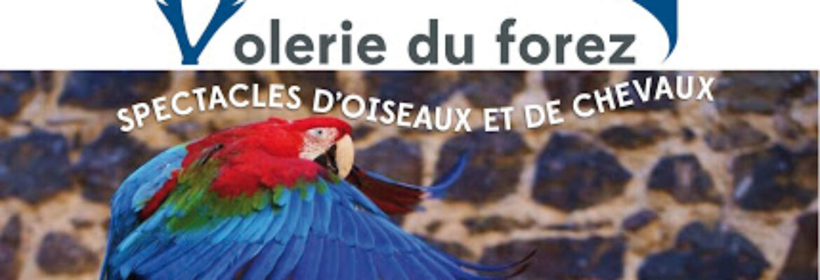 Volerie du Forez