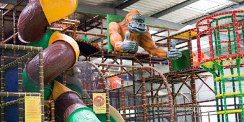 Monkey Park Plaisance-du-Touch