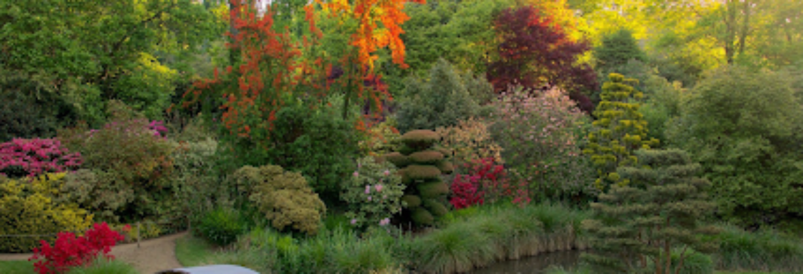 Parc Botanique de Haute Bretagne