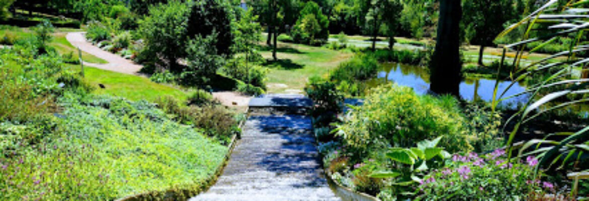 Jardin Camifolia