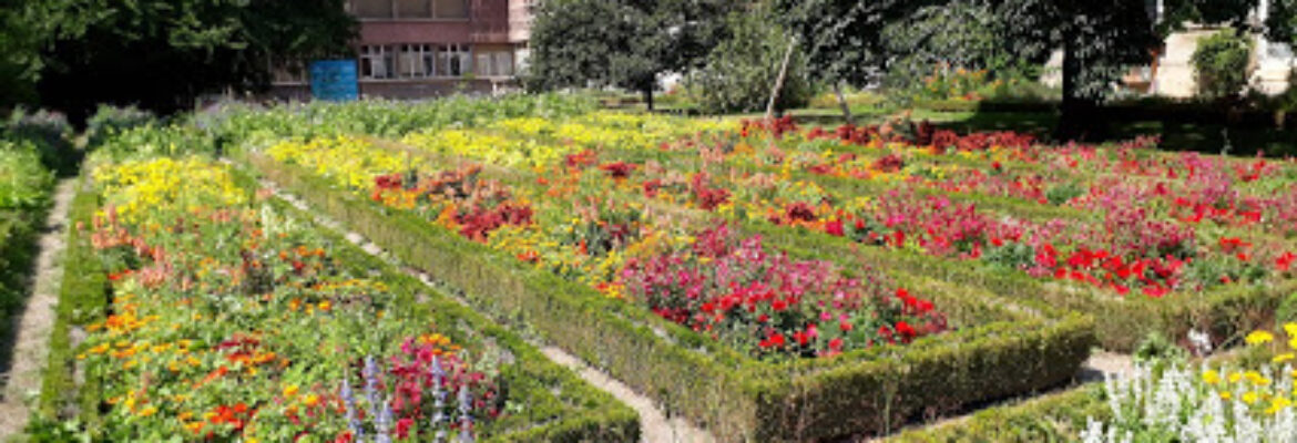 Jardin Dominique Alexandre Godron