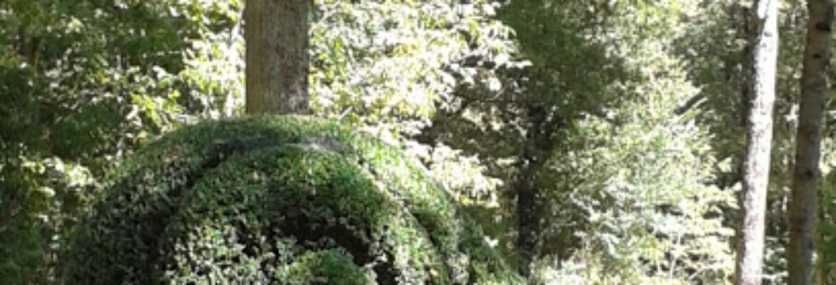 Jardins et Arboretum de Poulaines