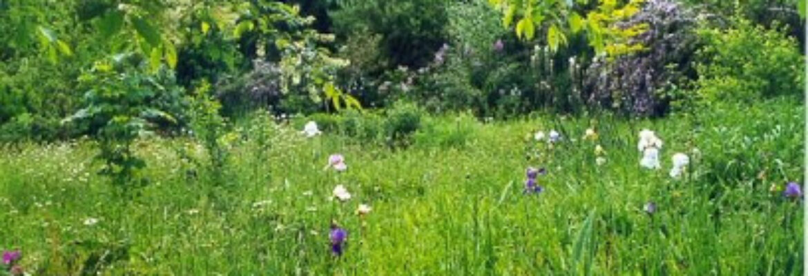 Arboretum du Chêne-Vert