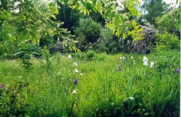 Arboretum du Chêne-Vert